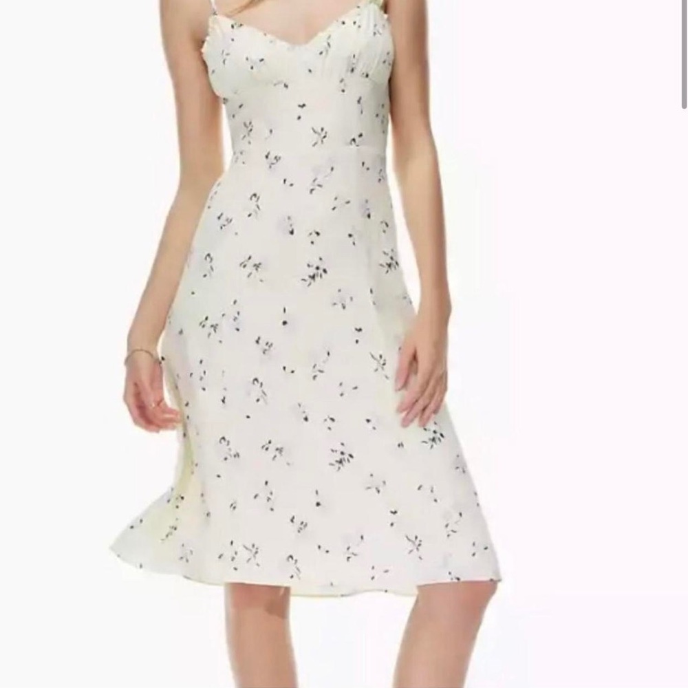 Aritzia Sunday Best Eastwood Dress